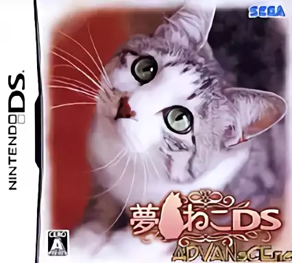 Image n° 1 - box : Yume Neko DS